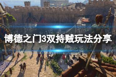 《博德之门3》攻略——双持贼怎么选