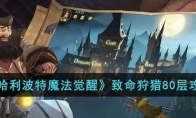 《哈利波特魔法觉醒》攻略——致命狩猎80层攻略