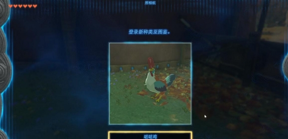 游侠网5