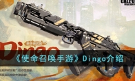 《使命召唤手游》攻略——Dingo解析
