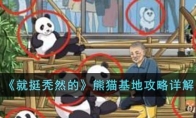 《就挺秃然的》攻略——熊猫基地攻略详解