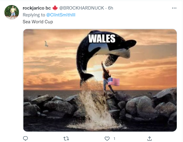 “鲸鱼参加世界杯”，“老梗”再一次被玩了起来