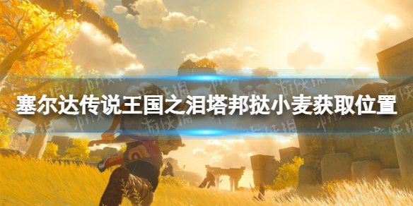 游侠网1