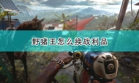 《孤岛惊魂6》攻略——野猪王换战利品