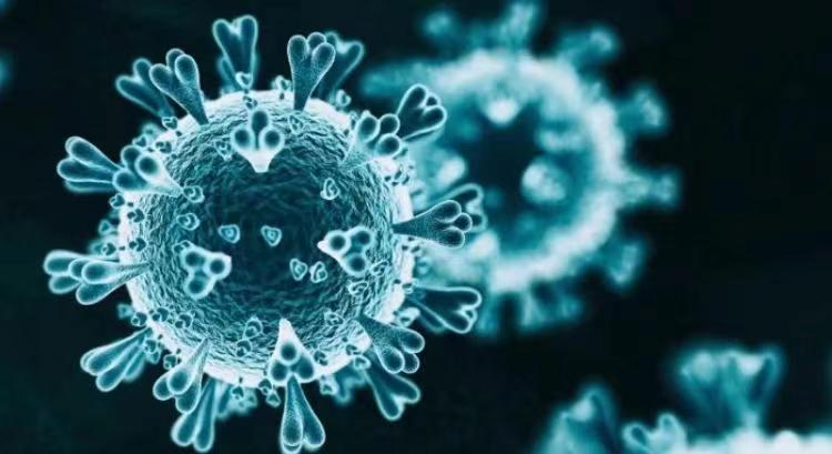 调查结果来啦！多次感染新冠病毒的危害有多大？