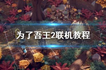 《为了吾王2》攻略——怎么联机