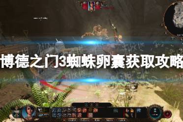 《博德之门3》攻略——蜘蛛卵囊在哪获得