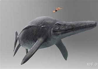 海洋中游泳很危险？研究者发现了三叠纪时期的鱼龙证据