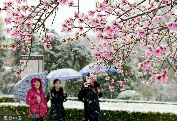 河南各市迎来“桃花雪” 为何三月还下雪（2023河南迎来“桃花雪”）