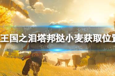 《塞尔达传说王国之泪》攻略——塔邦挞小麦获取位置